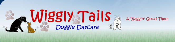 Northbrook Dog DayCare, Boarding, Training and Grooming Services